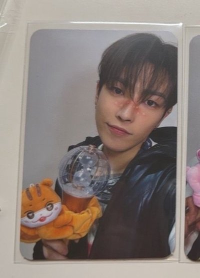 小動物系列(calling/treasure/icecity)