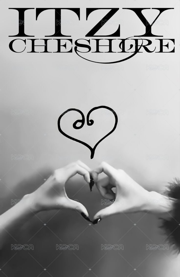 CHESHIRE 專輯卡 雙人卡 背面