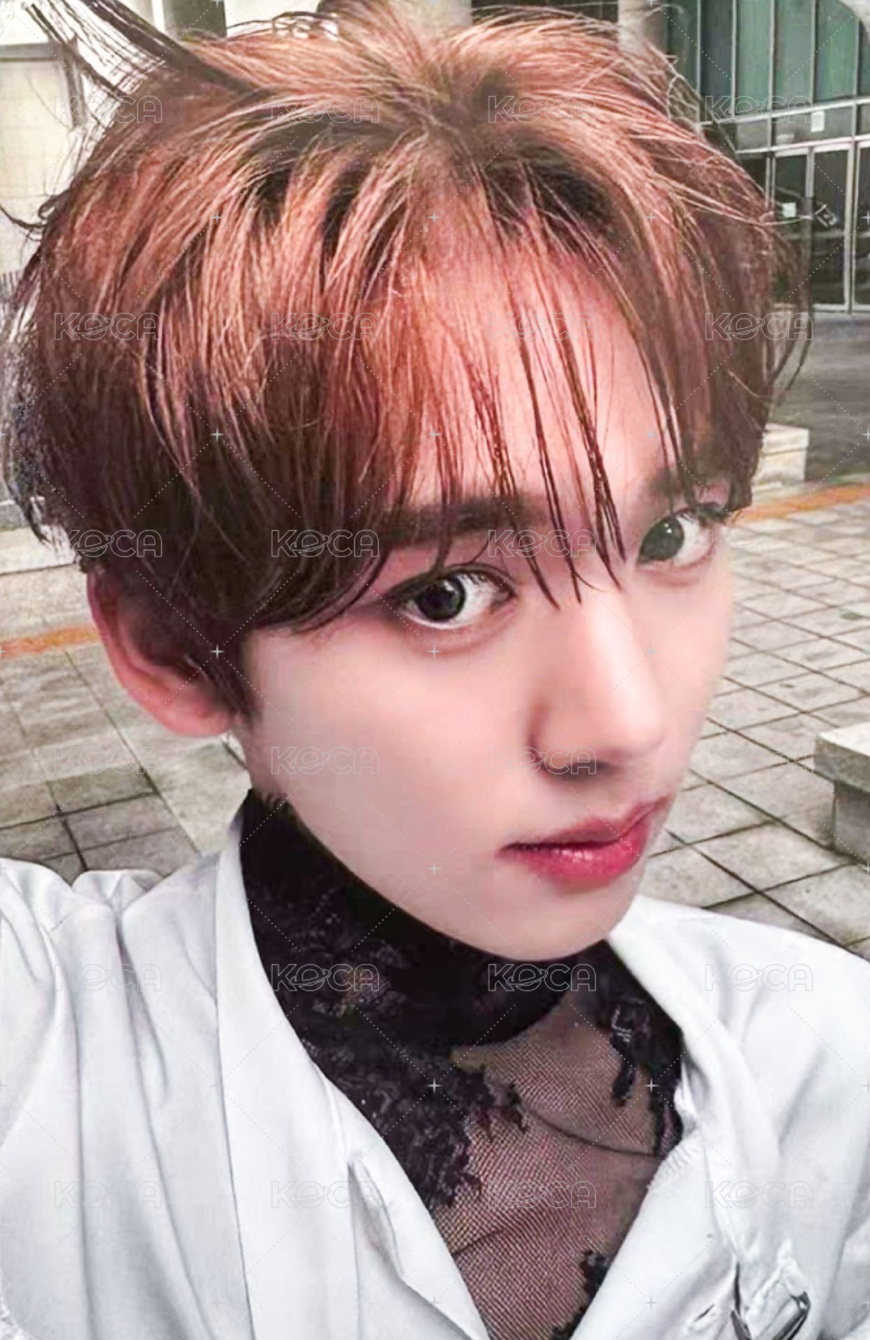 迷四 mmt 再版 特典卡 犄角 ver. 正面