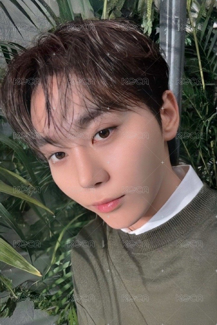 消費期限 特典卡 ｜塔店records特典 正面