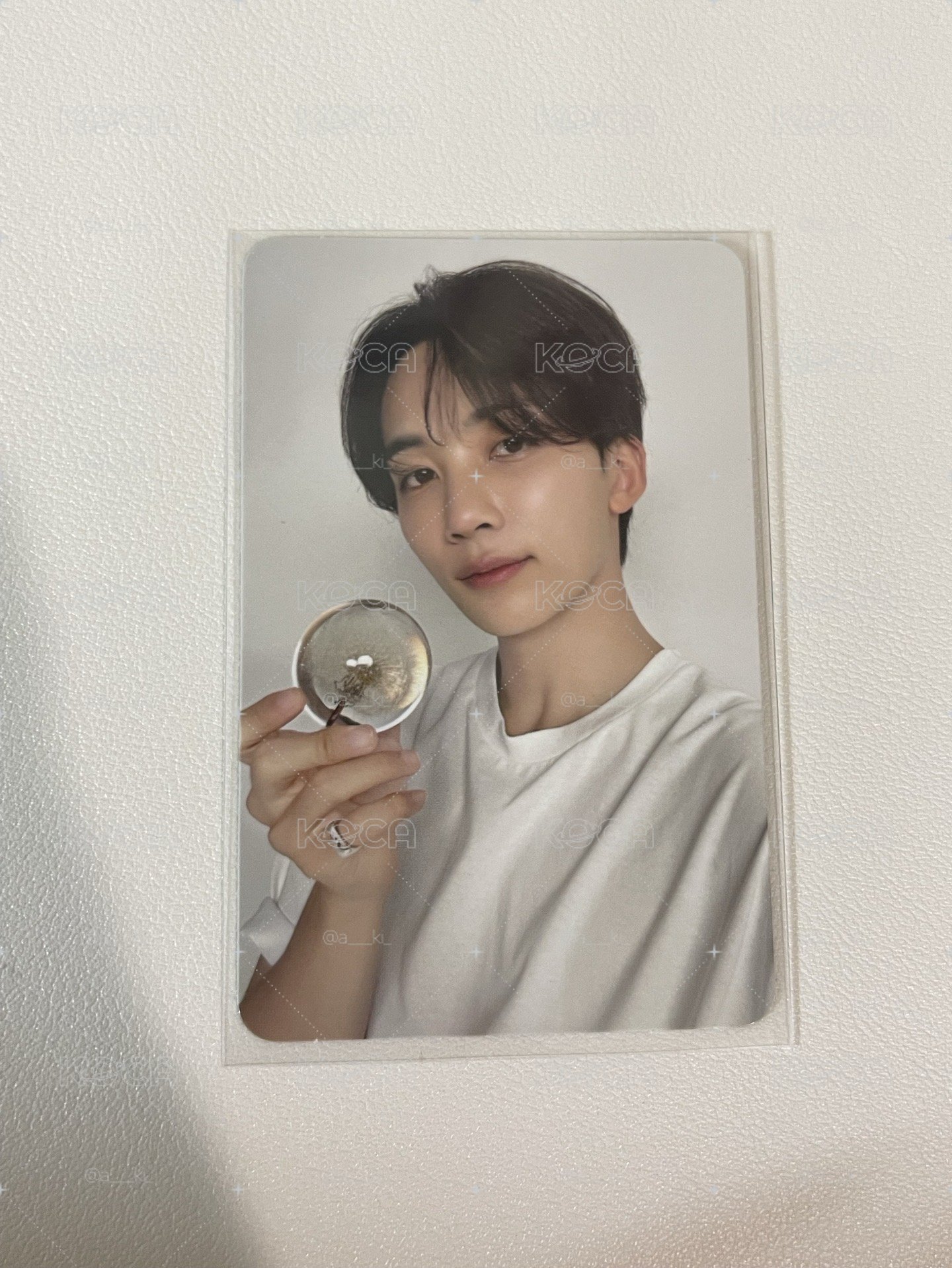 Seventeen 多秀卡