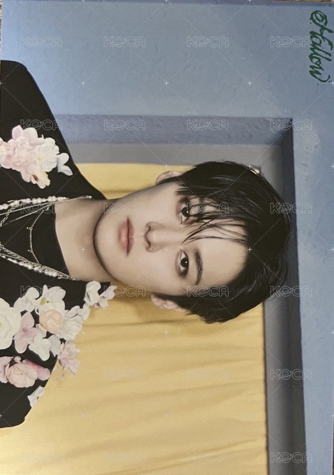 Hollow 隨機卡 大卡 正面