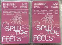 迷十二克拉盤（2張不拆）