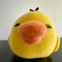 想吃肉鬆吐司🍞