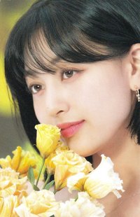 D’FESTA 迷你版 D社 周邊卡 