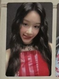 25’世巡 隨機卡 