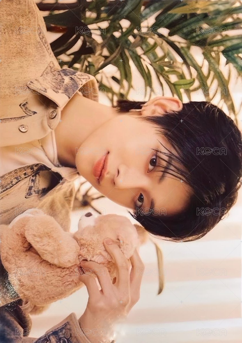 2024 DREAM WEEK 周邊卡 ver.1 正面