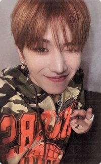 19.99 wvs 特別禮 特典卡 2