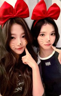 Style el 3.0 幸運卡 