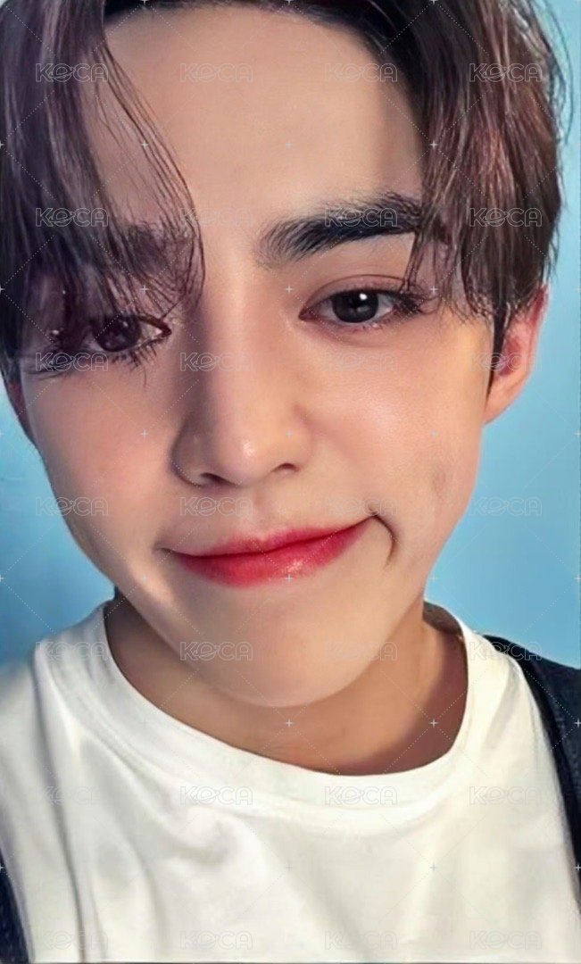 DREAM 專輯卡 ｜CARAT ver. 正面