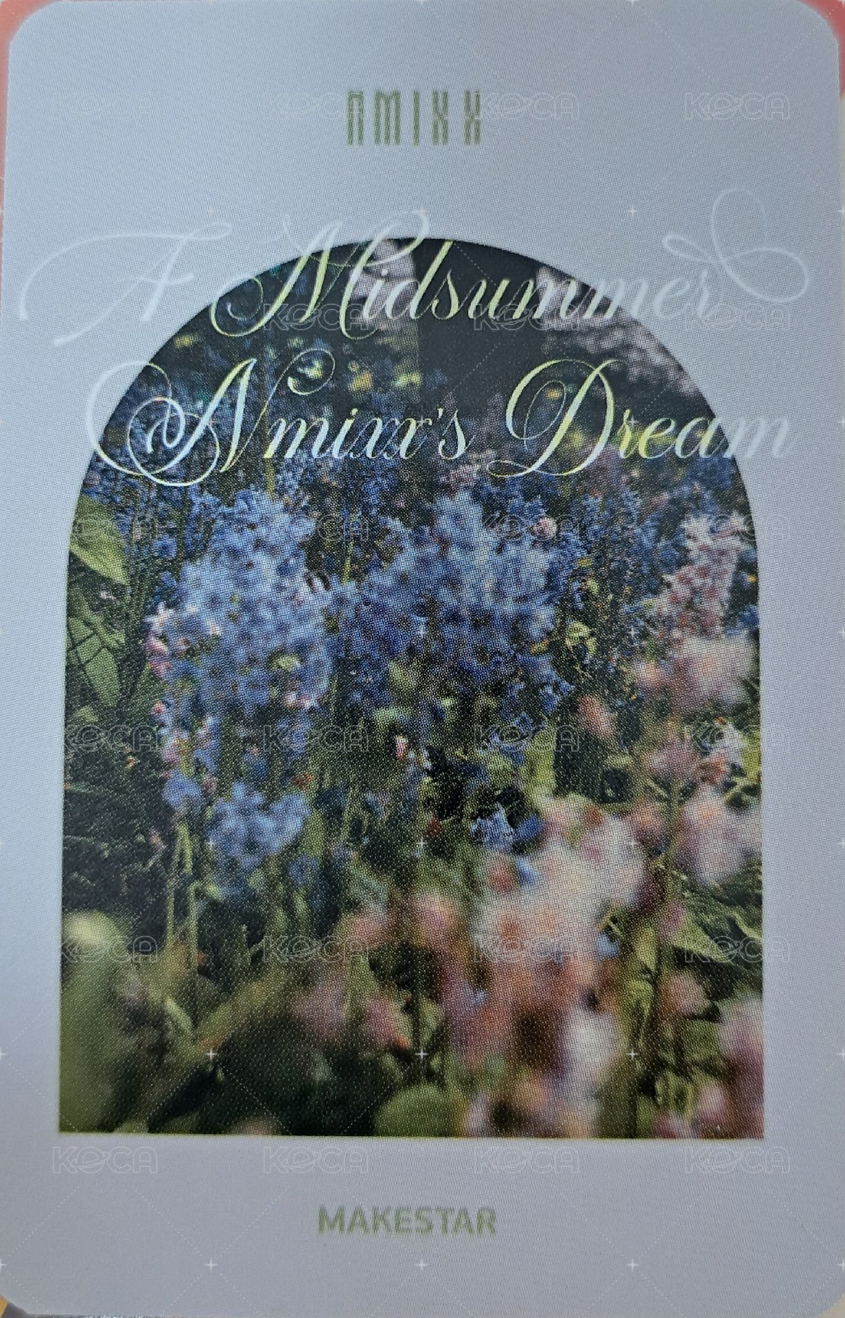 仲夏夜 ms 4.0 簽售卡 水槍裴 背面