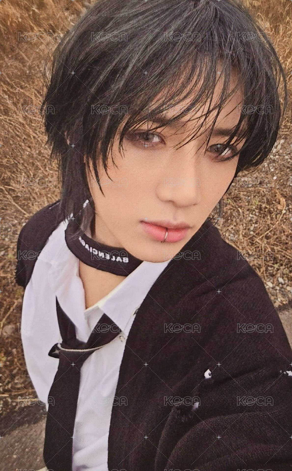 迷六 wvs 特典卡  正面