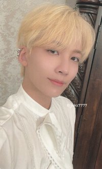 SOCIAL CLUB 周邊卡 ｜AL FINE ver.