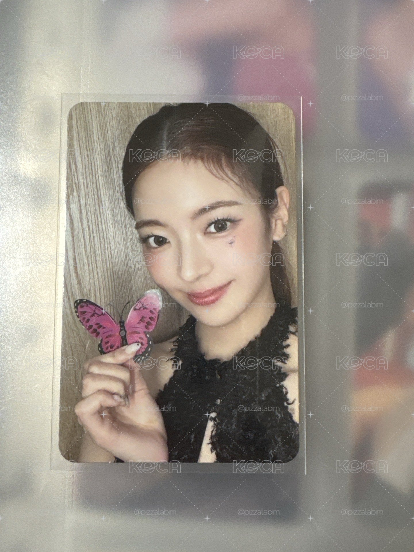 ms 蝴蝶 Lia