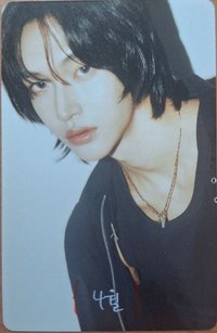 D社寫真 雜誌卡 刮刮卡