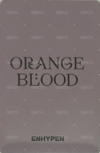 迷五 yzy 簽售卡 一直娛7.0 羲 背面