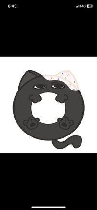 安🐈🐈‍⬛