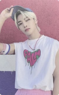 MAXIDENT sw 3.0 B版 幸運卡 