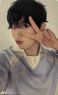 WTL世巡 wvs 日巡 入場卡 / 場限卡 日巡zone卡