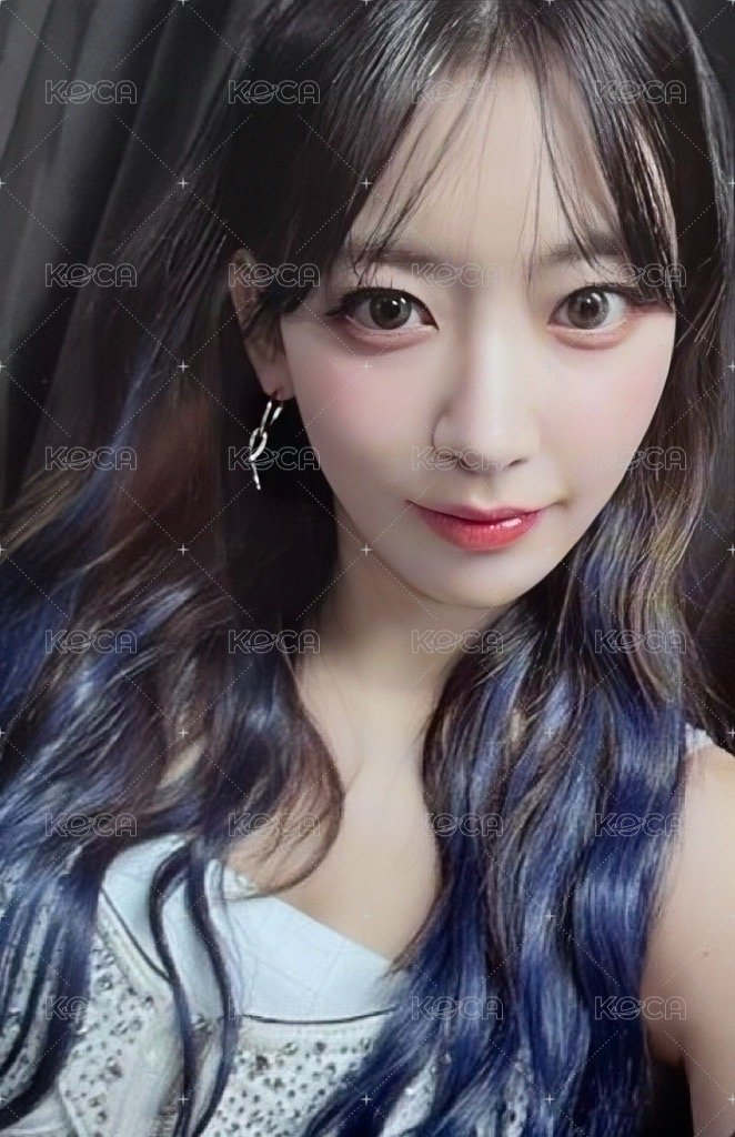 23‘亞巡 演唱會 DVD / CD 卡  正面