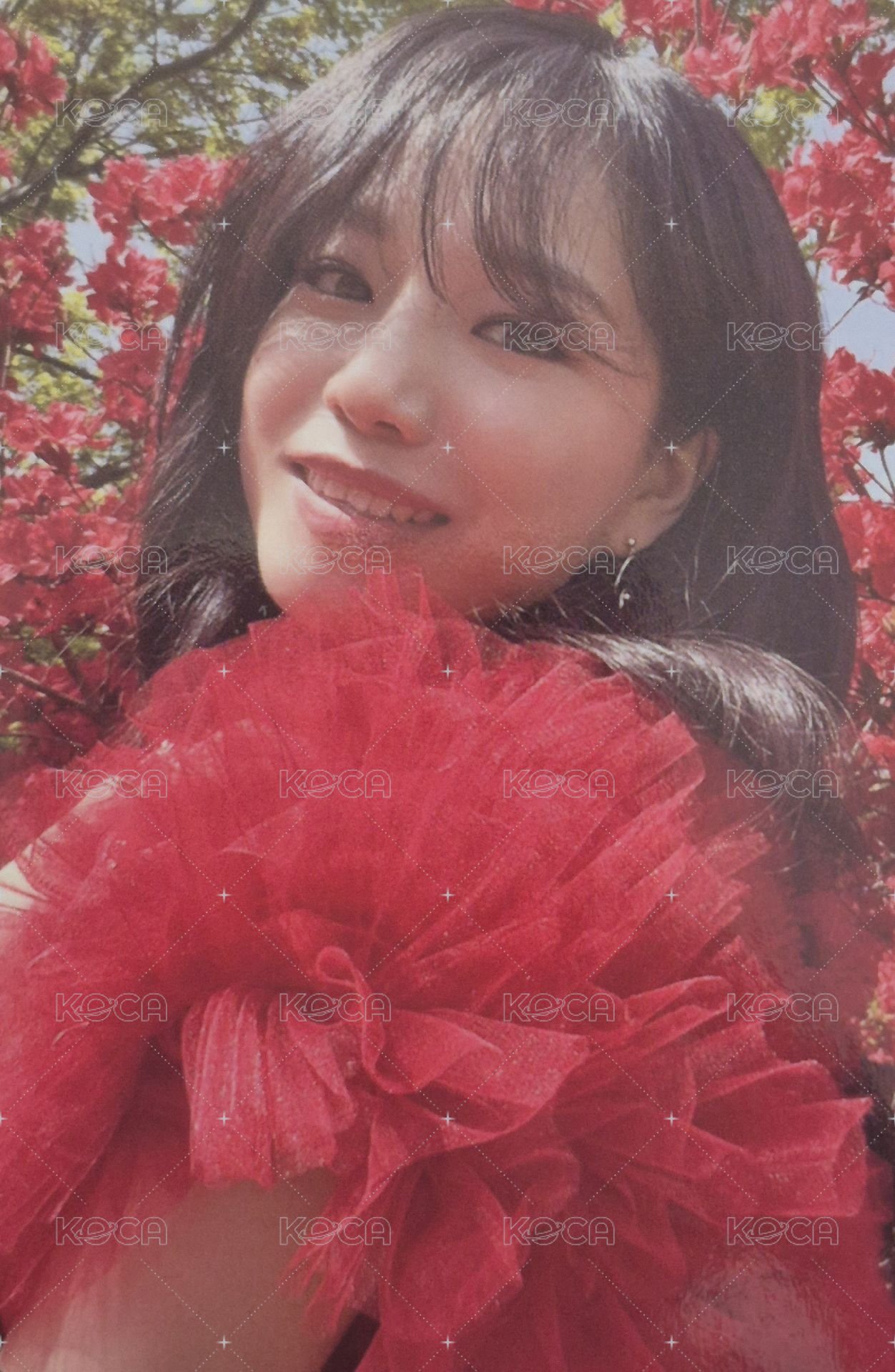 Op.22 Y-Waltz: in Minor 專輯卡  正面