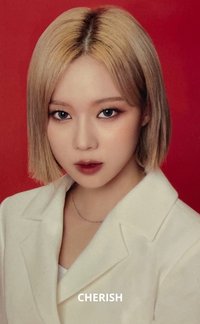 MY WORLD Lotte Duty Free 樂天 特典卡 樂天紅底冬