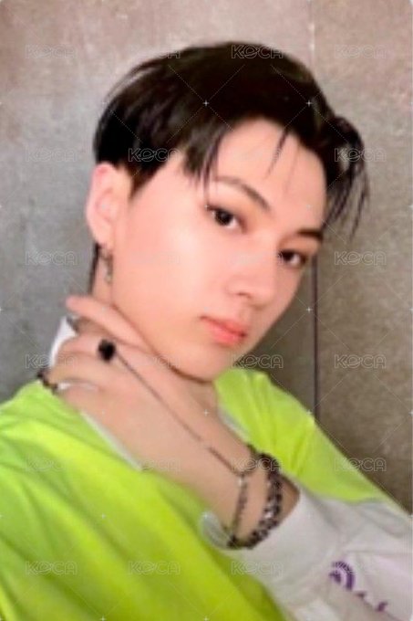 迷二 wvs 特典卡  正面