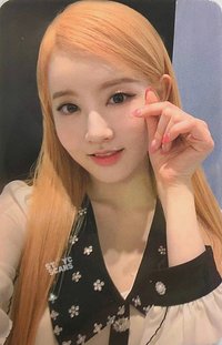 STEREOTYPE ms 4.0 簽售卡 