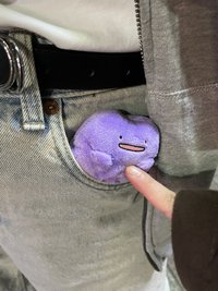 一Ditto百變