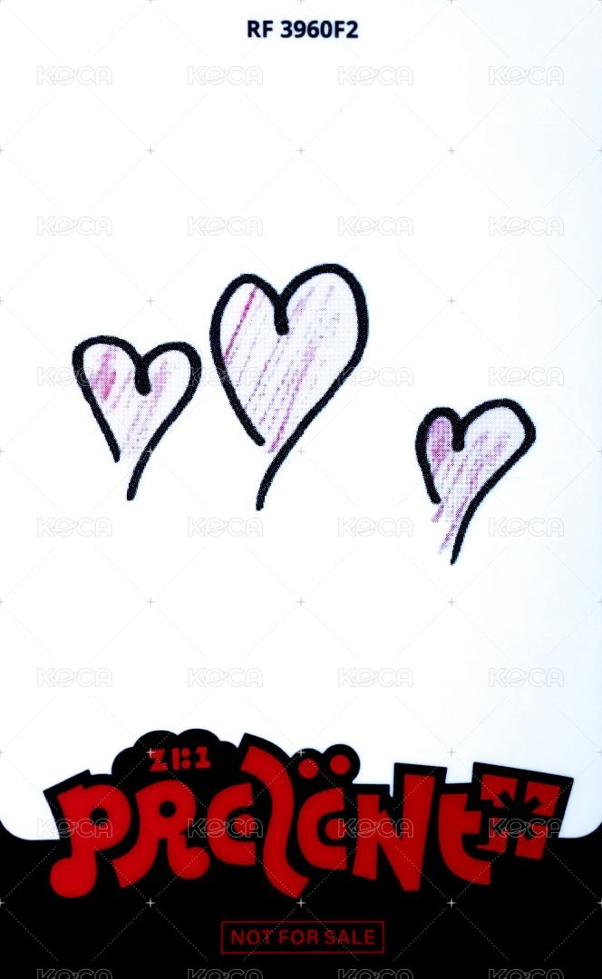 日專 專輯卡 通常盤 ver. 背面