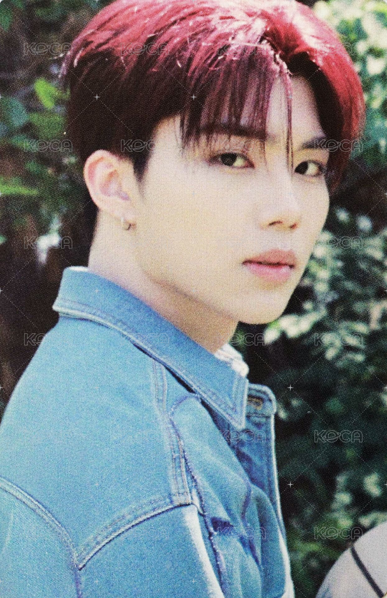 正規一 專輯卡 SCENTS 固卡 正面