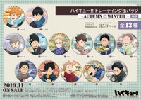 SOL 徽章 舊秋冬普