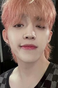 22‘克拉島 演唱會 DVD / CD 卡 DVD ver.