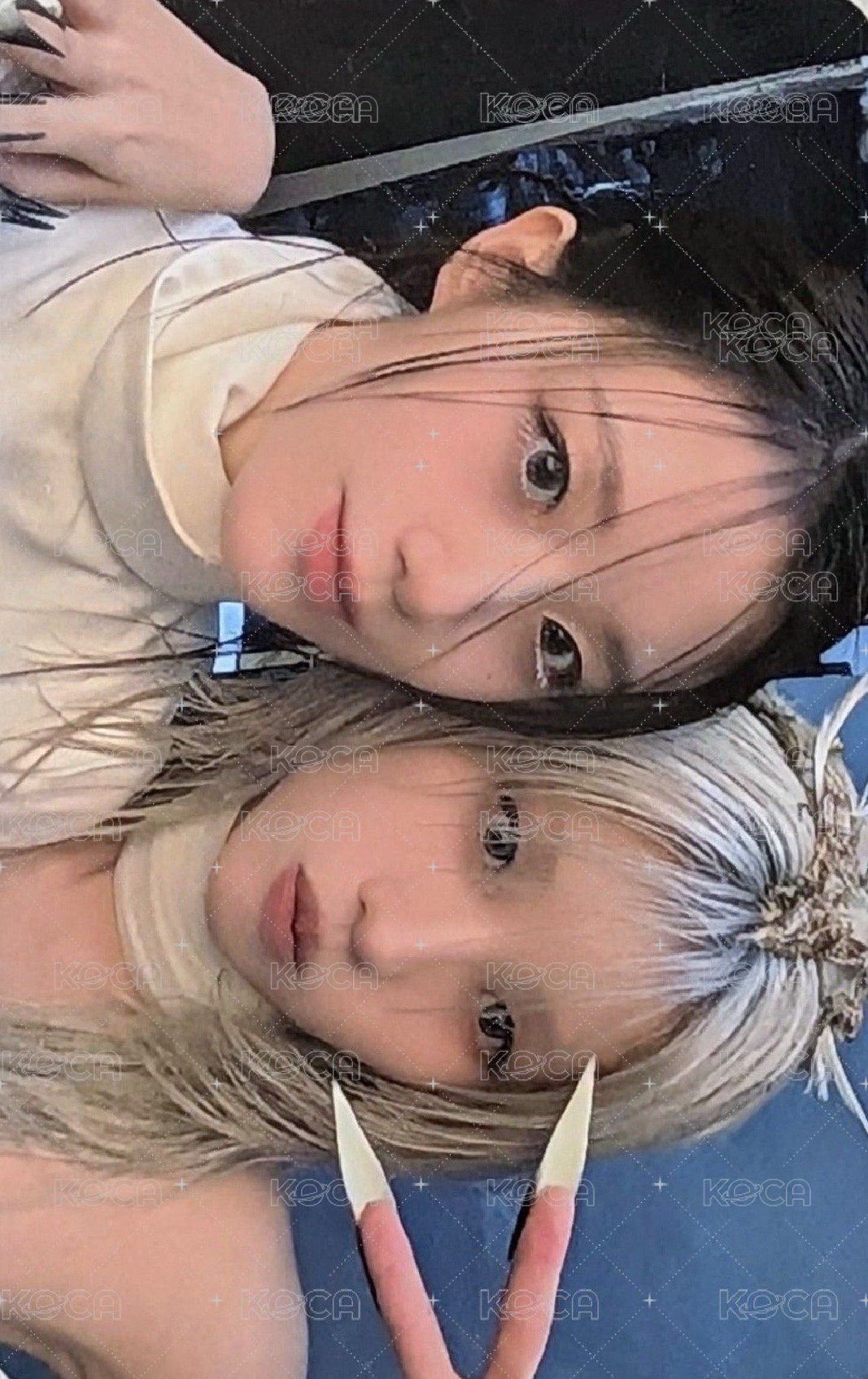 2025 七週年展覽 cube 周邊卡 展覽花卷卡 正面