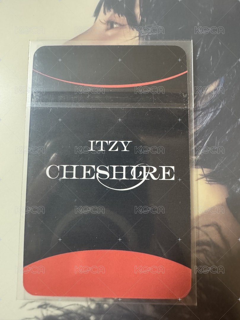 CHESHIRE sw 4.0 幸運卡  背面