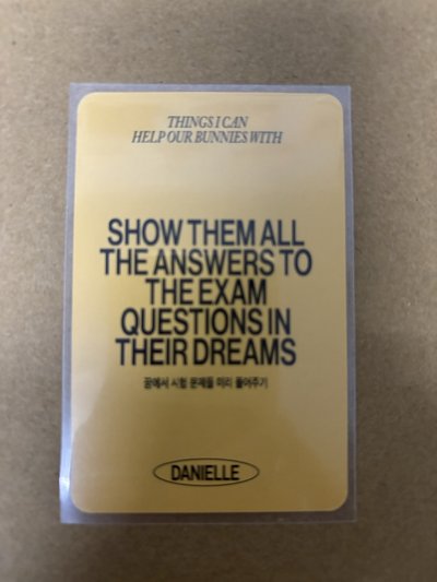 New jeans Danielle 丹 2025SG 年曆卡 