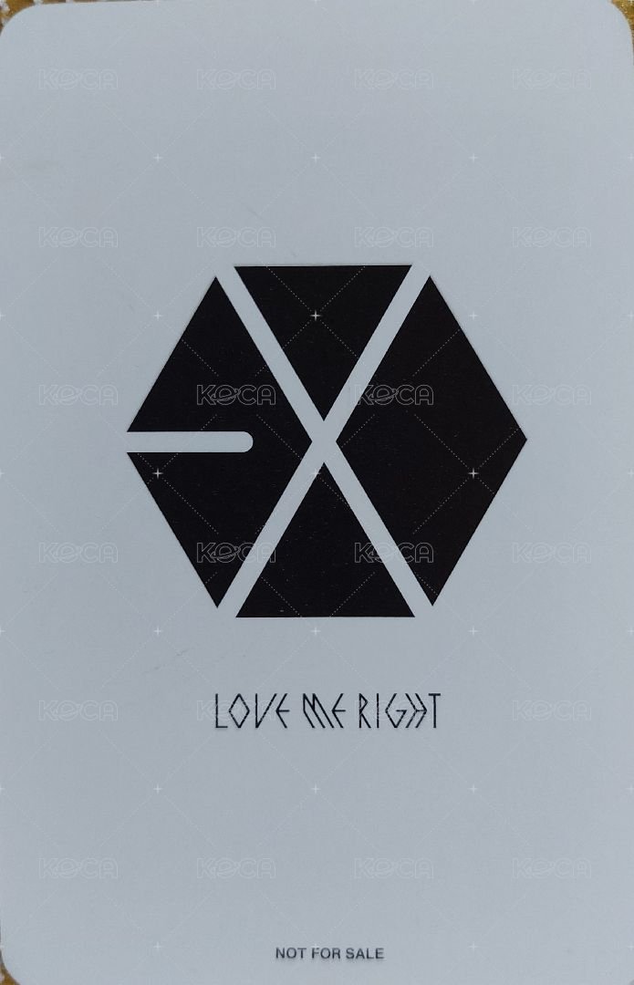 Love Me Right~romantic universe~日文單曲 專輯卡 燦烈 EXO Love Me Right日文單曲專卡 背面