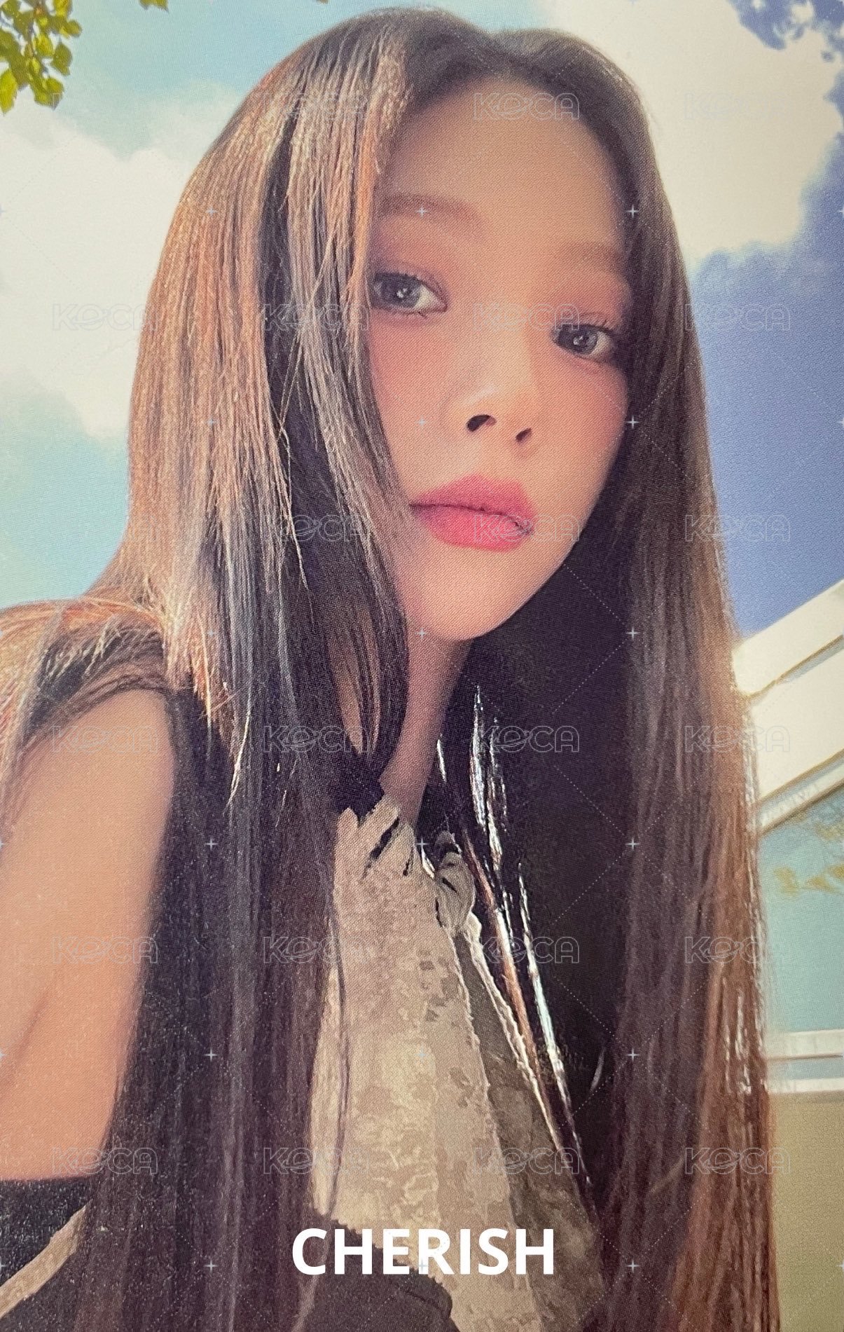 dvd回憶錄 演唱會 DVD / CD 卡 數位版柚 正面