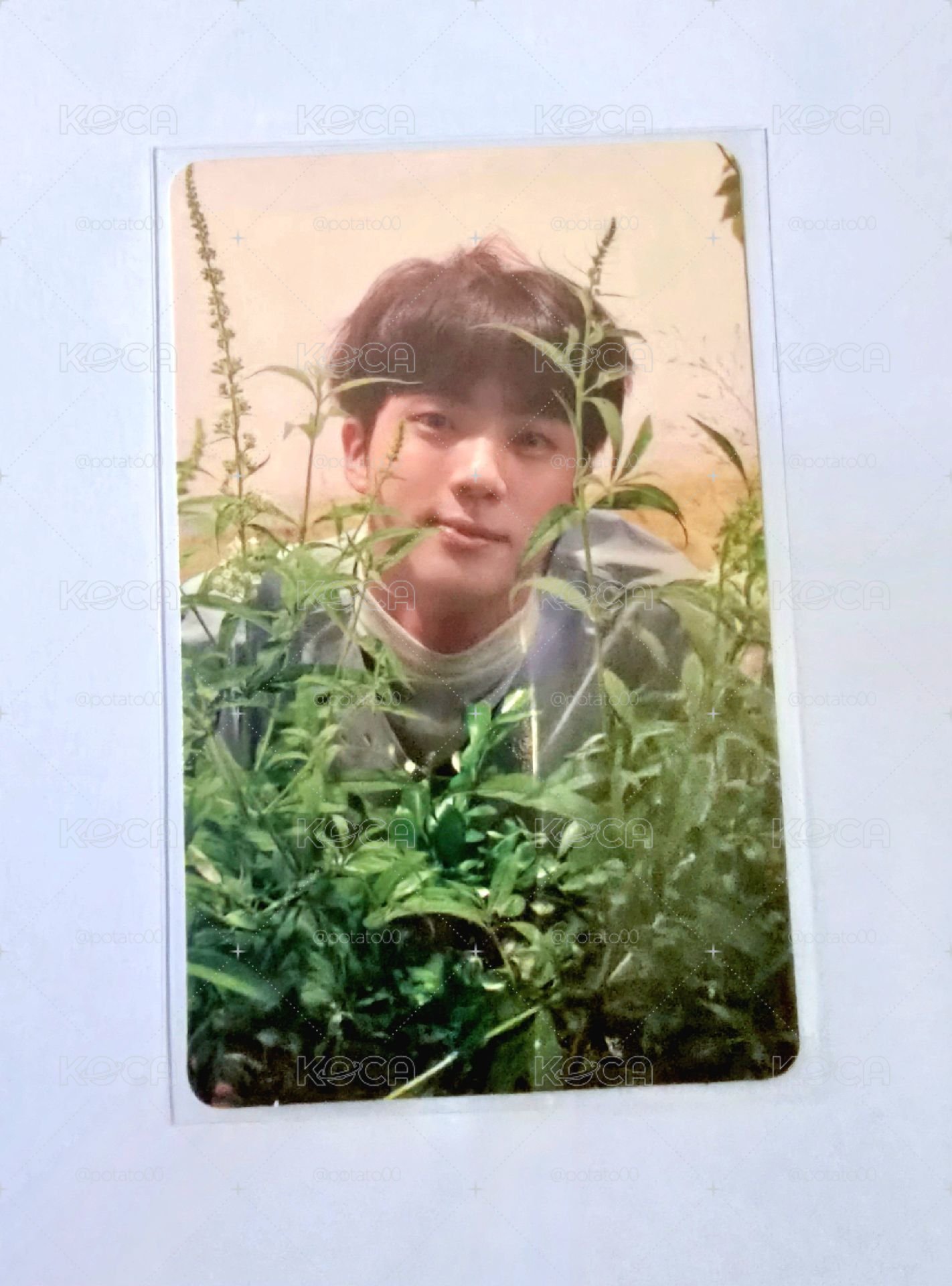 LY承 JIN ver.O 專卡