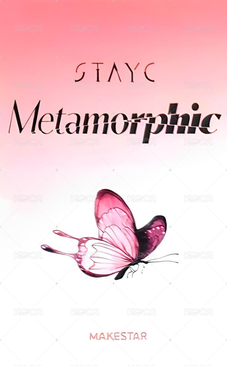 正規一 ms 1.0 特典卡 蝴蝶ver. 背面