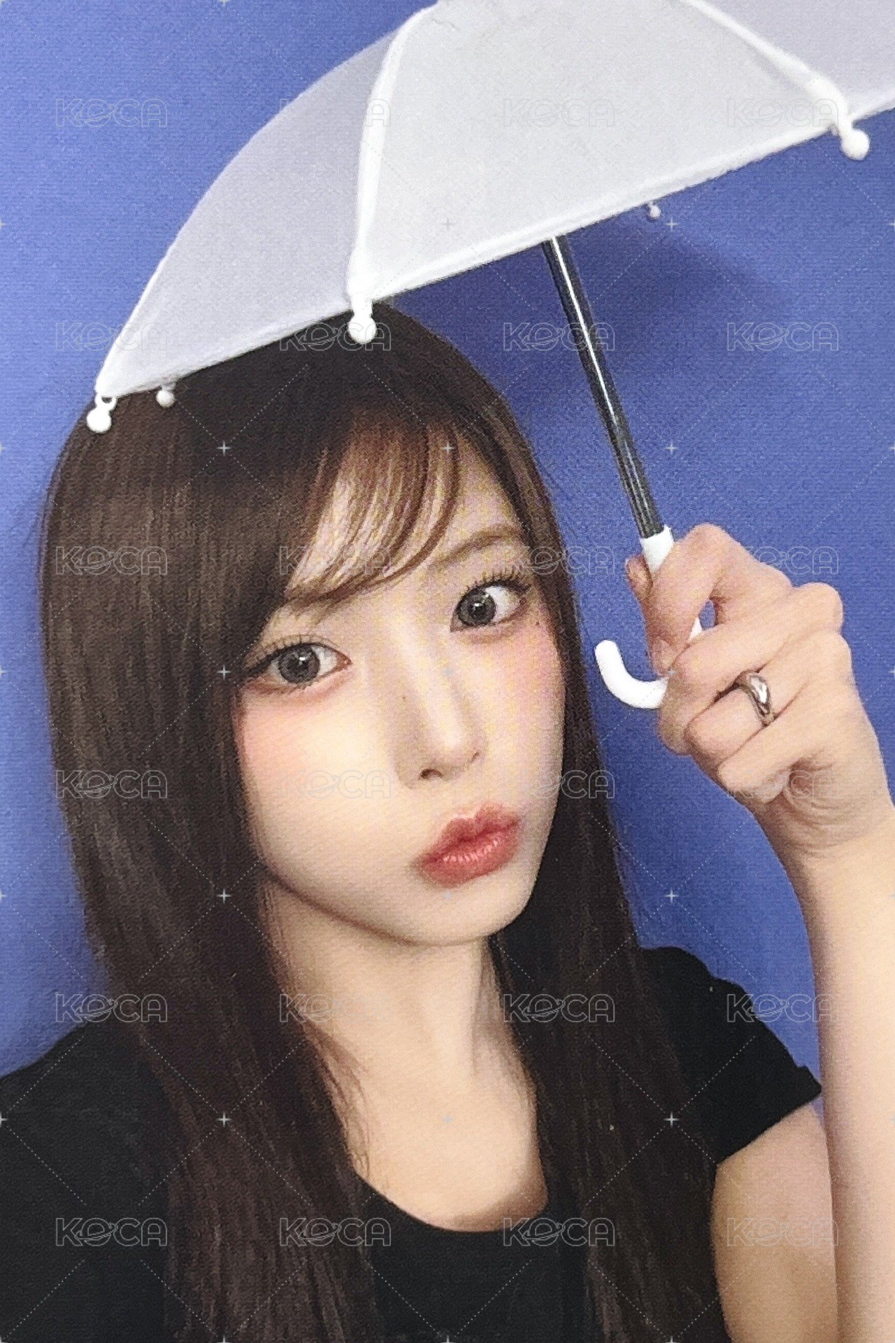 FORWARD ms 15.0 簽售卡 迷你雨傘友 正面