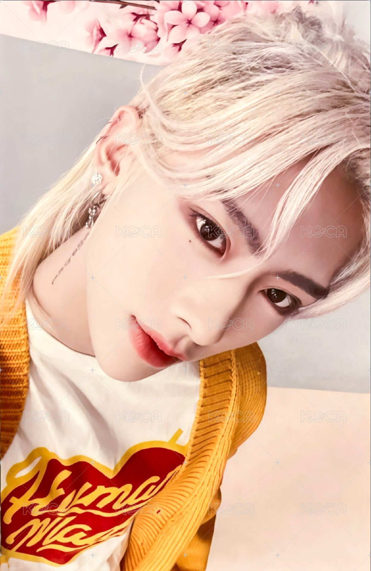 日專 塔店 澀谷 特典卡  正面