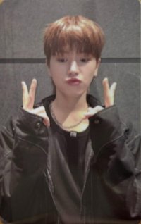 HOW? wvs 2.0 簽售卡 2