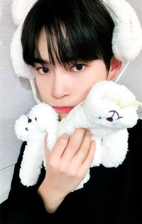 迷二 ms 特典卡 北極熊 ver.