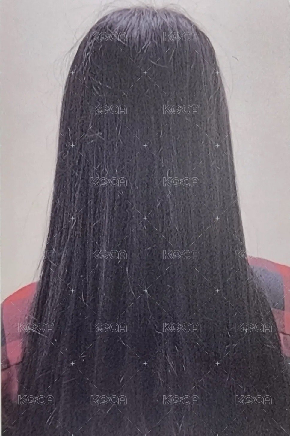 ENTWURF sw 2.0 幸運卡  背面