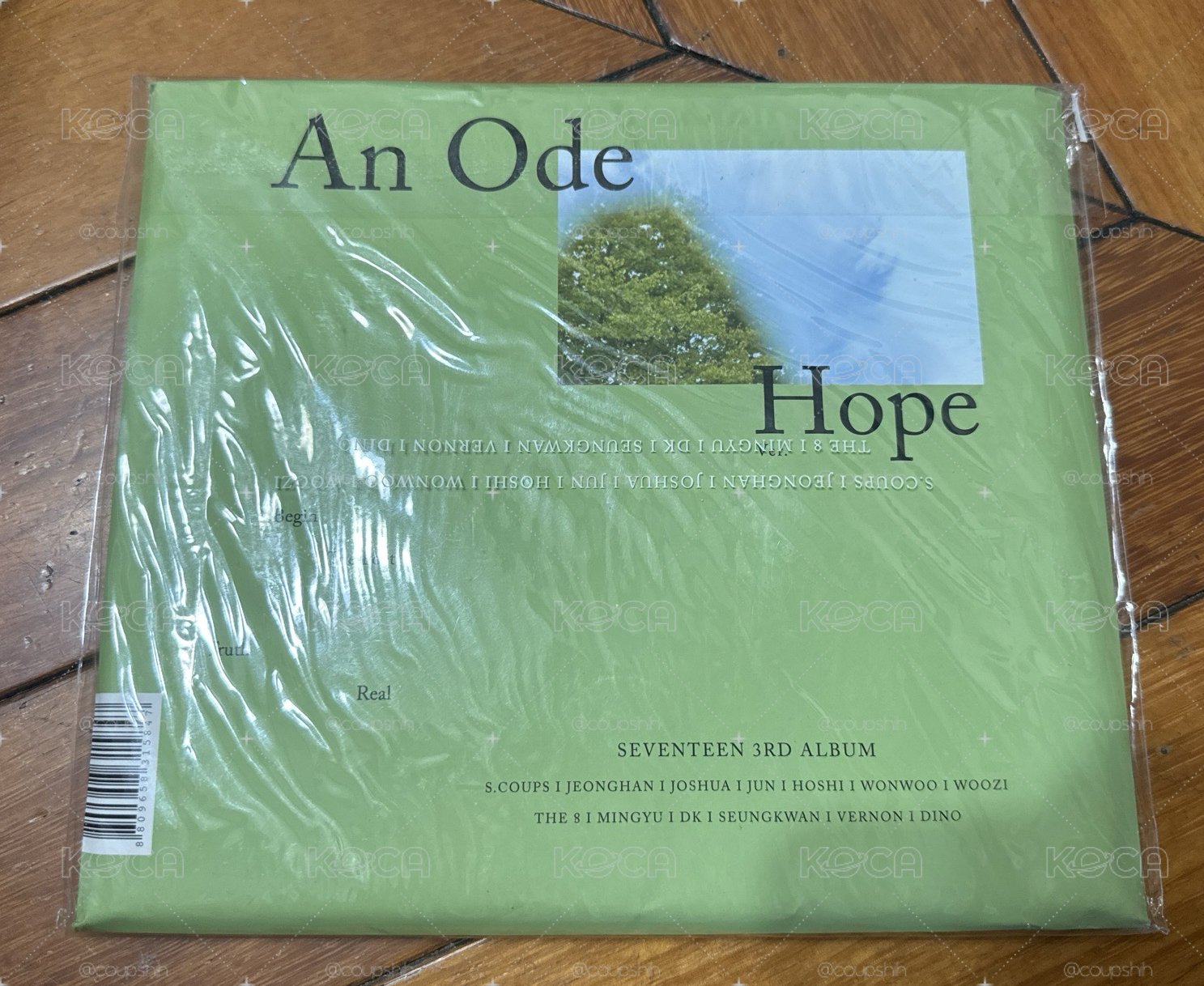 正三 An Ode 綠版 空專 勳寫真