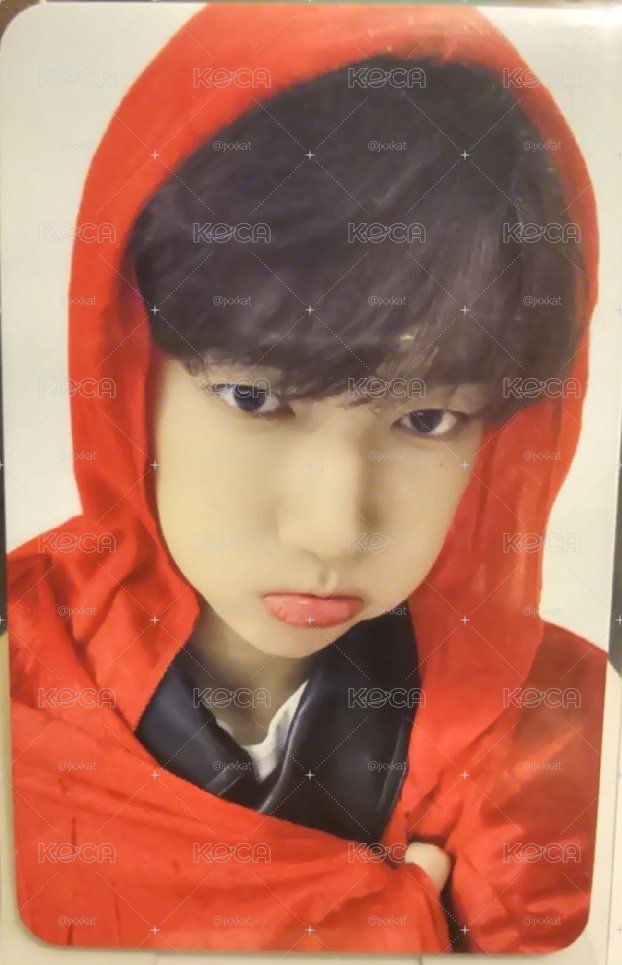 小紅帽昊