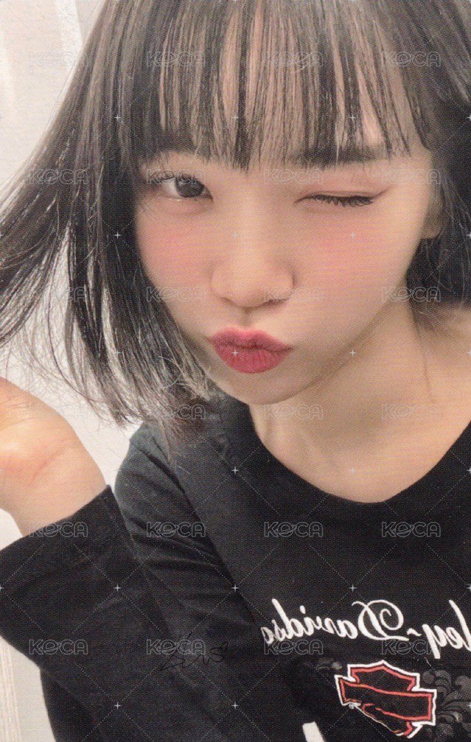 整組 會員禮卡 早鳥禮 正面