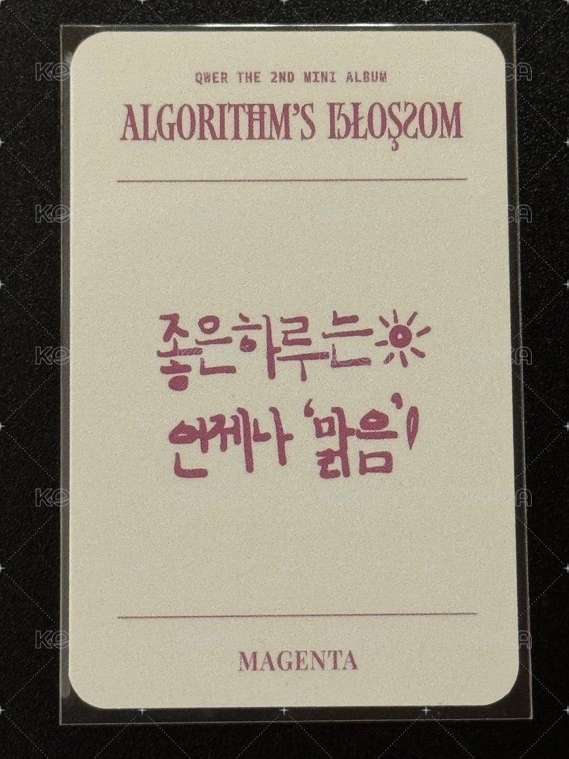 迷二快閃店 周邊卡 卡套卡 背面