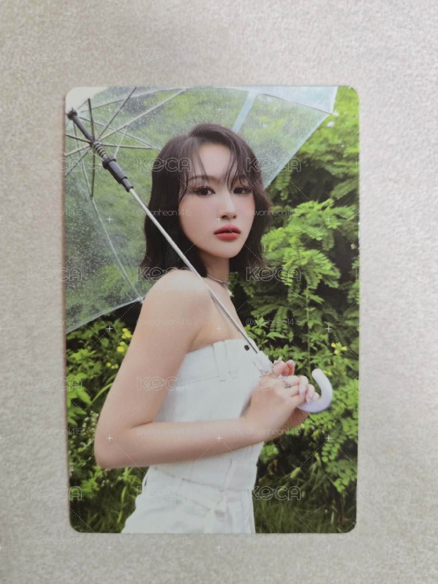 迷七 娟 普專專卡
